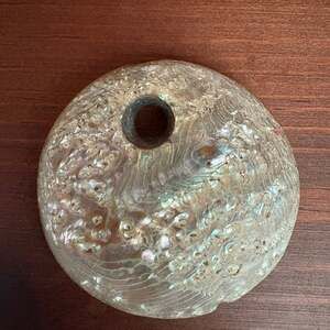 Large Polished Abalone Shell Iridescent Pendant